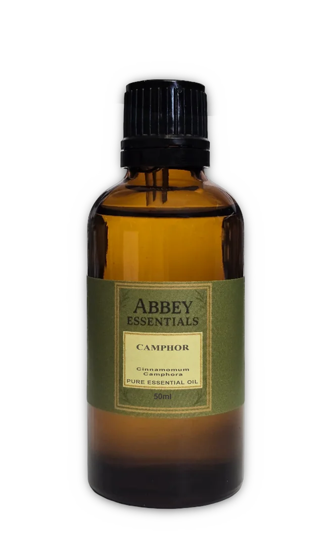 Kampferöl 50 ml